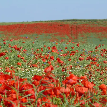 Meeresrauschen 公寓