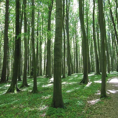 Meeresrauschen 公寓 *