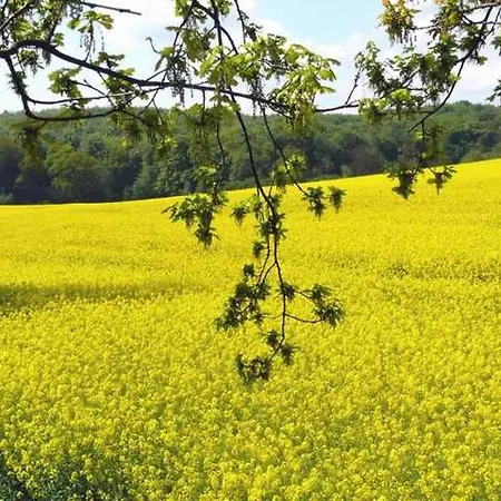 Meeresrauschen 公寓 巴贝